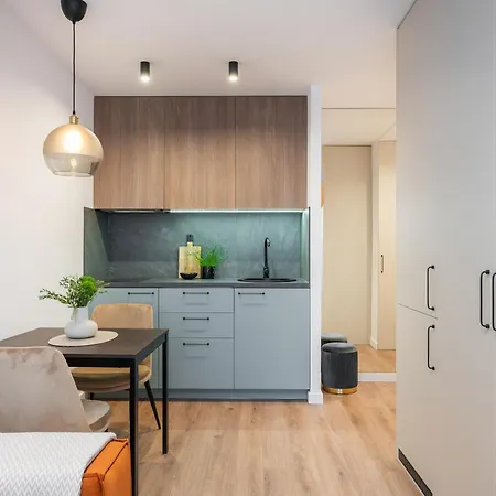 Apartment Near Akropolis Shopping Center. Vilnius